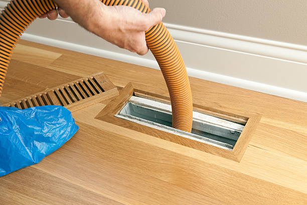Best Affordable Air Duct Cleaning  in Hallandale Beach, FL