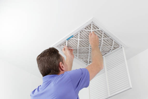 Best Ductwork Cleaning Services  in Hallandale Beach, FL